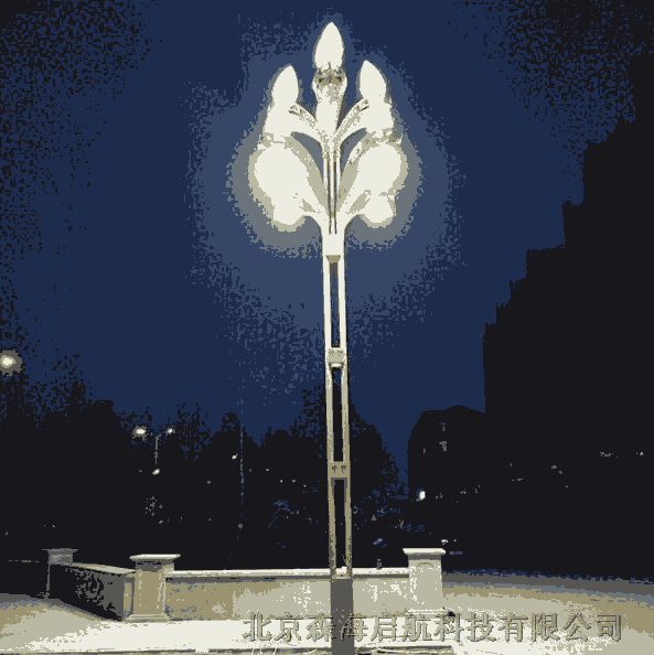景觀照明中華燈供應(yīng)商 廠家直銷(xiāo) 北京市電路燈廠